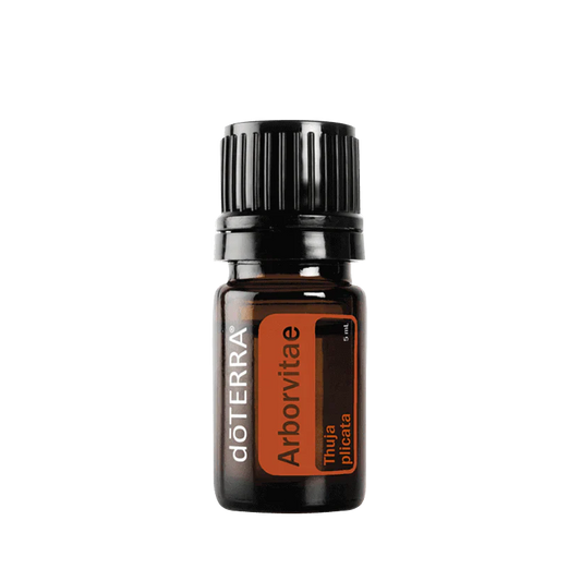 dōTERRA Lebensbaum (Arborvitae) - 5ml