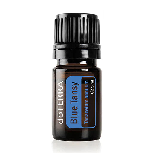 dōTERRA Blauer Rainfarn (Blue Tansy) - 5ml