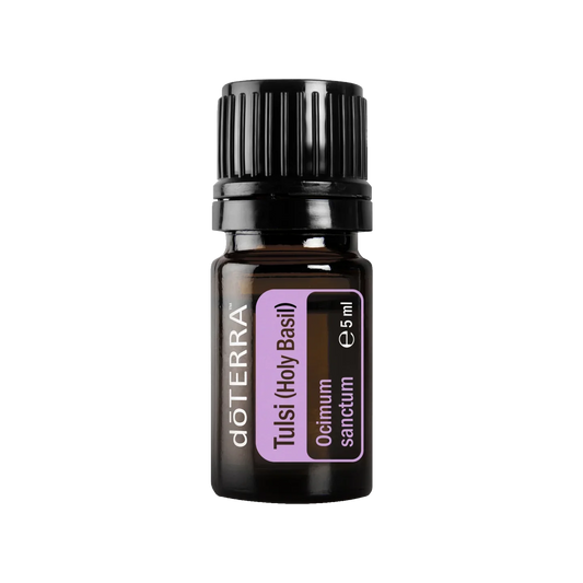 dōTERRA Tulsi (Heiliges Basilikum) - 5ml